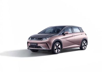 BYD Dolphin pilihan warna foto (1)