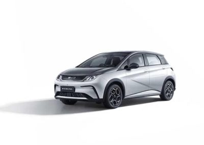 BYD Dolphin pilihan warna foto (3)