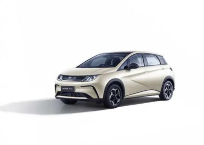 BYD Dolphin pilihan warna foto (6)